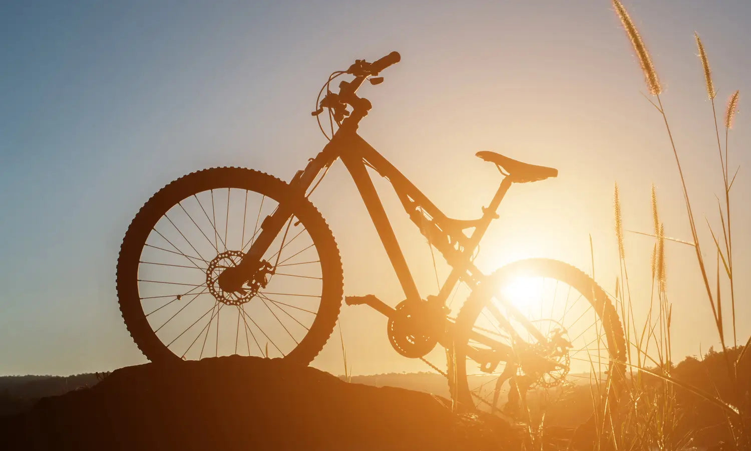 Die besten Mountainbikes für Anfänger – Worauf solltest du achten?