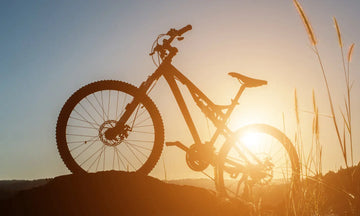 Die besten Mountainbikes für Anfänger – Worauf solltest du achten?